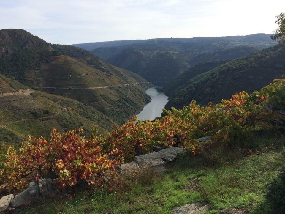 Apartment Acogedor Ribeira Sacra *